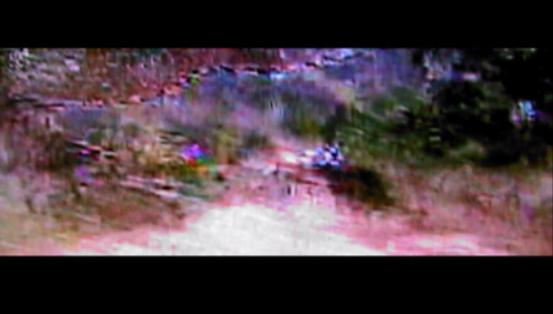 Brandon Bauer — Fallen Landscape (still)